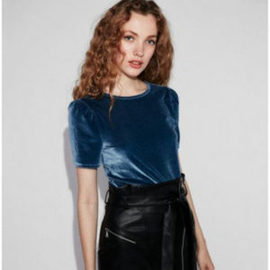 Express Puff Sleeve Velvet Top